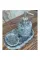 Beige Marble Rose Gold Convex Deer Detail 7 Pcs Bathroom Set Beige Marble Rose Gold Convex Deer Detail 7 Pcs Bathroom Set